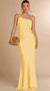 Andie Backless Maxi Dress One Shoulder with Skew Collar