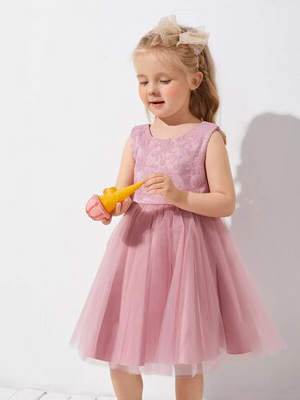 Flower Girls Embroidery Bodice Mesh Hem dress