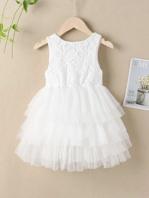 Flower Girls Lace And Mesh Layered Dress